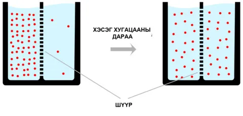 Молекулууд өндөр концентрацитай хэсгээс бага концентрацитай хэсэг рүү шилжиж буй
