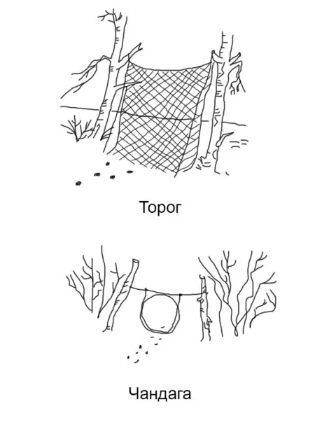 Торог, чандага гэсэн хоёр төрлийн ан агнуурын занга