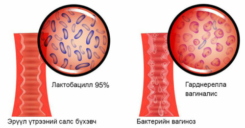 Хэрэглэгчийн Хариултууд