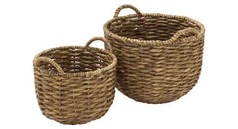 Том жижиг хоёр сэгс