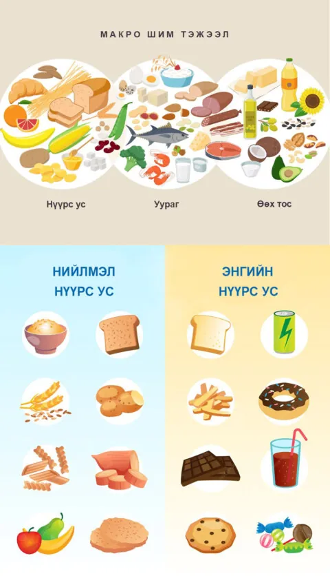 Макронутриент болон нүүрс усны төрлүүдийг харуулсан инфографик
