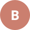 byambaraa Bayaraa